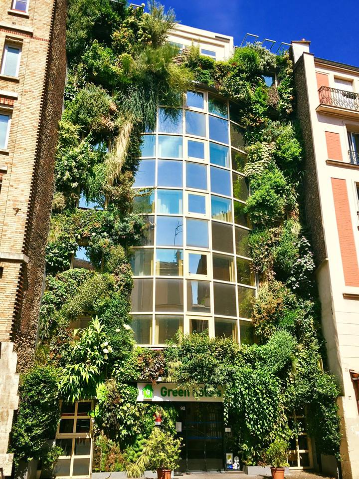 Visite de Patrick Blanc @ Green Hotels Paris XIII | Green Hotels